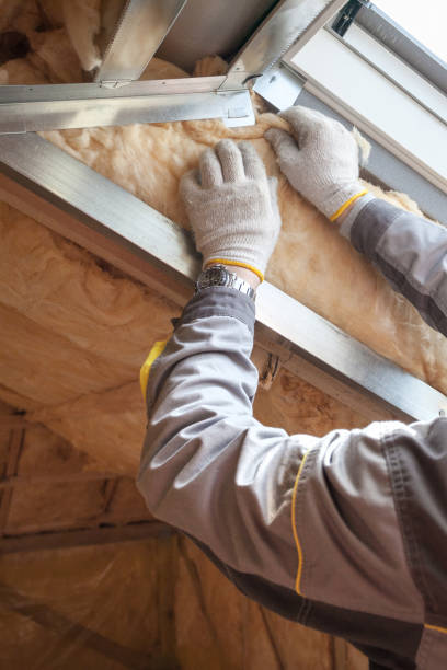 Types of Insulation We Offer in Bells, TN